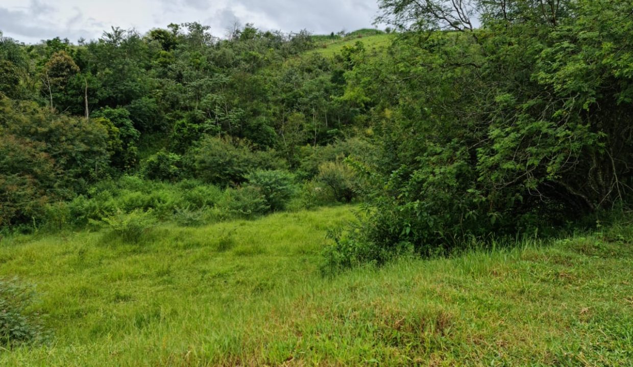 WhatsApp Image 2022-03-08 at 15.49.24