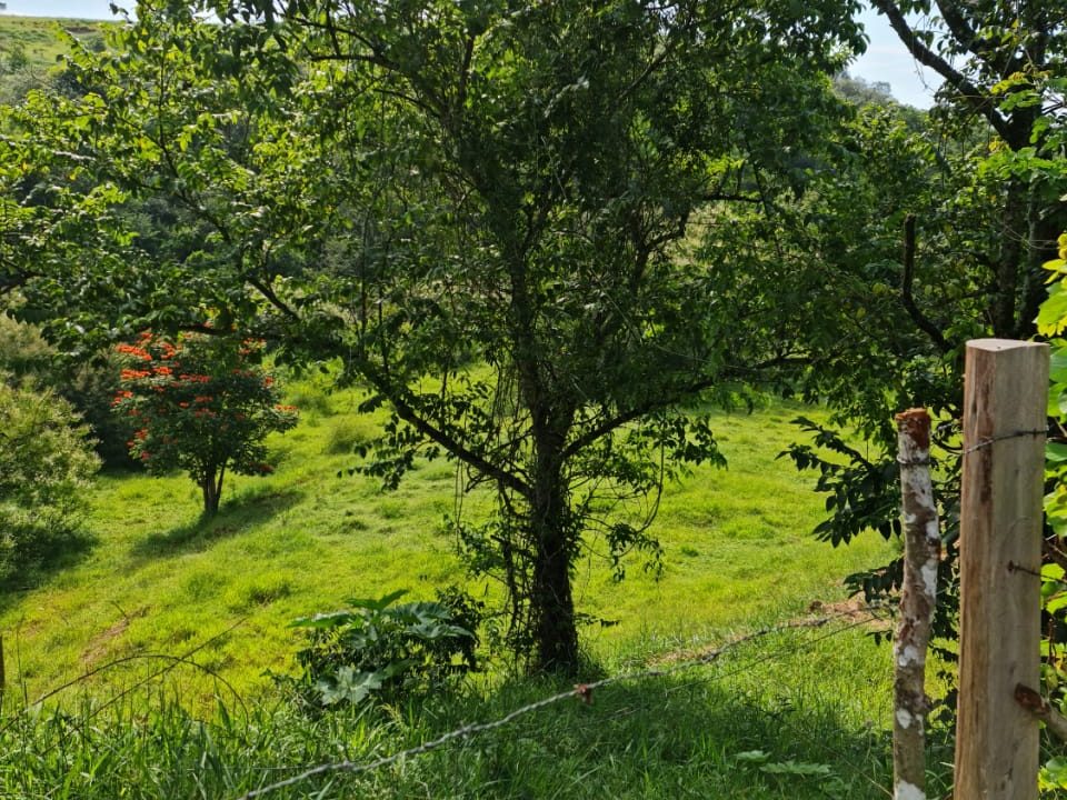 WhatsApp Image 2022-03-08 at 15.49.25 (2)