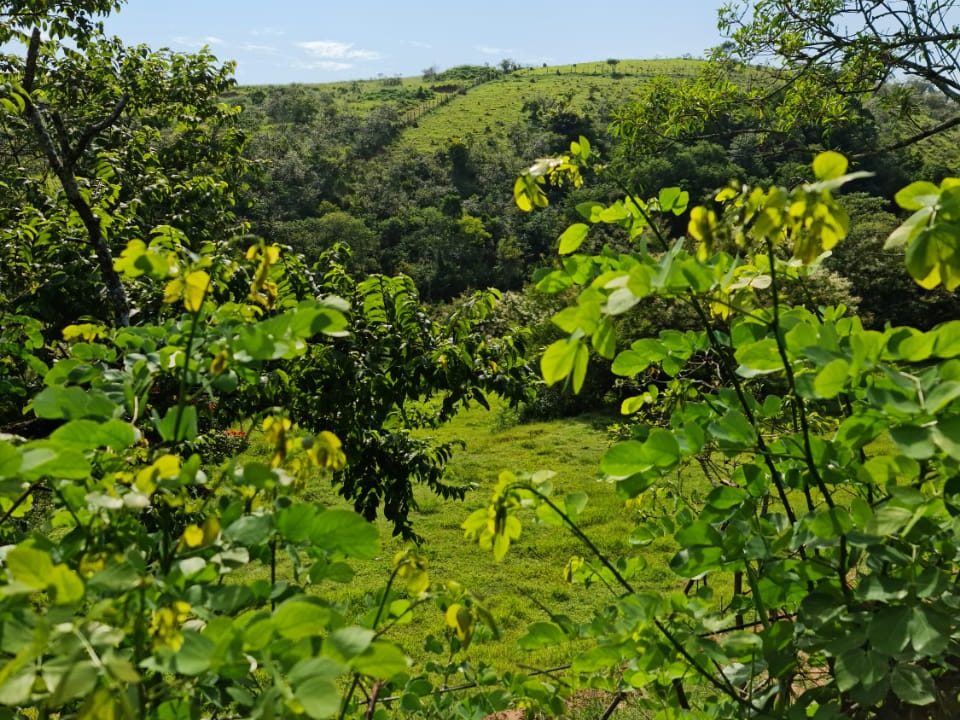 WhatsApp Image 2022-03-08 at 15.49.25