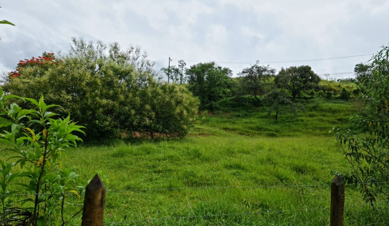 WhatsApp Image 2022-03-08 at 15.49.31