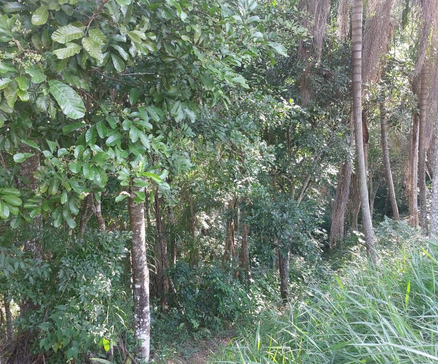 WhatsApp Image 2022-04-26 at 16.41.03 (4)