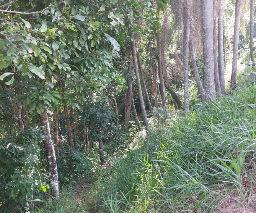 WhatsApp Image 2022-04-26 at 16.41.03 (5)