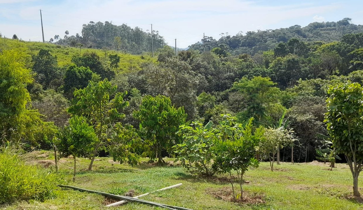 WhatsApp Image 2022-04-26 at 16.47.25