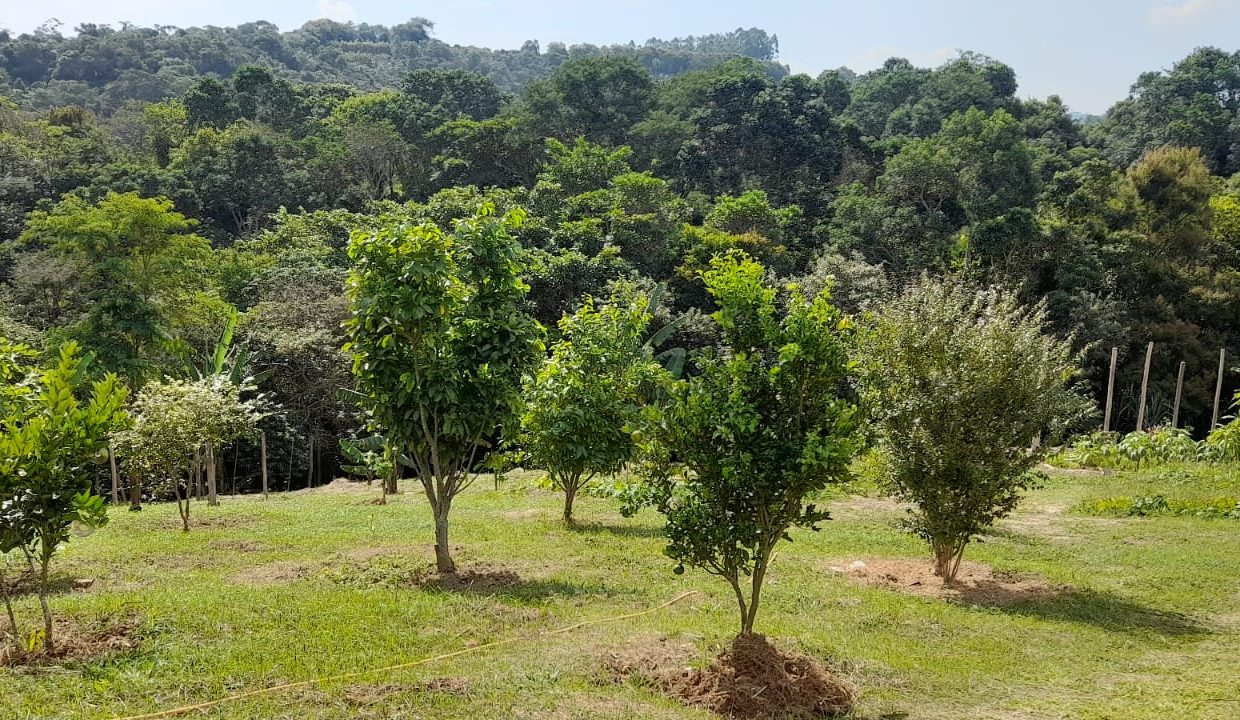 WhatsApp Image 2022-04-26 at 16.47.29