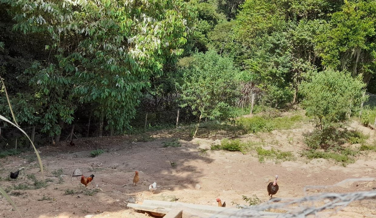 WhatsApp Image 2022-04-26 at 16.47.36