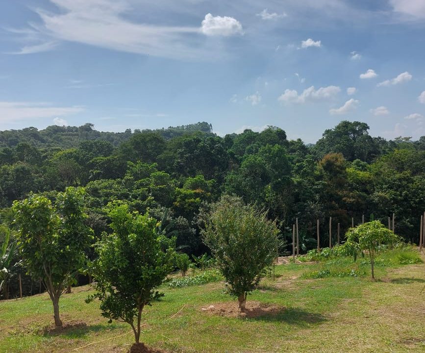 WhatsApp Image 2022-04-26 at 16.54.05 (3)