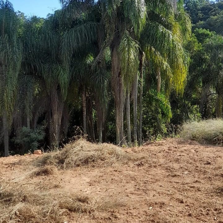 WhatsApp Image 2022-04-27 at 14.18.10