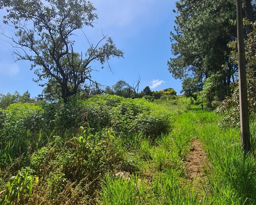 WhatsApp Image 2022-05-05 at 15.57.38 (1)