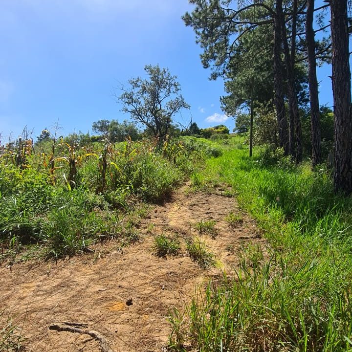 WhatsApp Image 2022-05-05 at 15.57.38