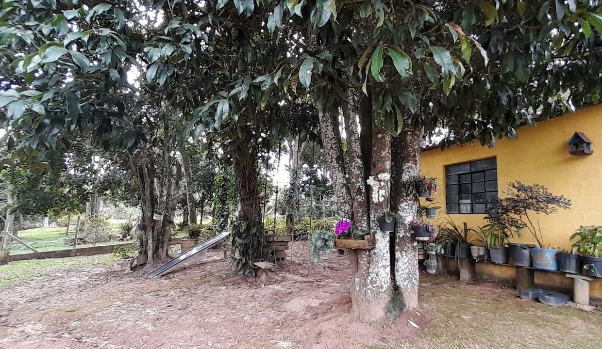 WhatsApp Image 2022-05-16 at 14.43.46