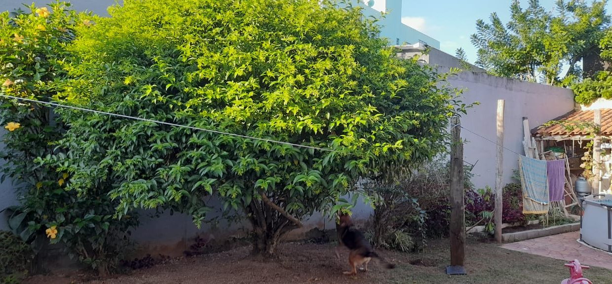 WhatsApp Image 2022-05-16 at 16.40.59