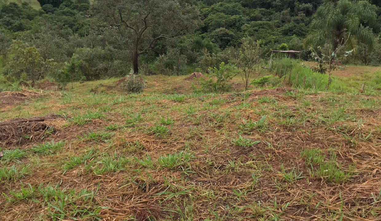 WhatsApp Image 2022-06-07 at 16.47.57