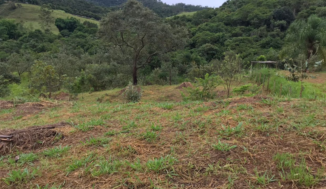 WhatsApp Image 2022-06-07 at 16.47.58 (1)