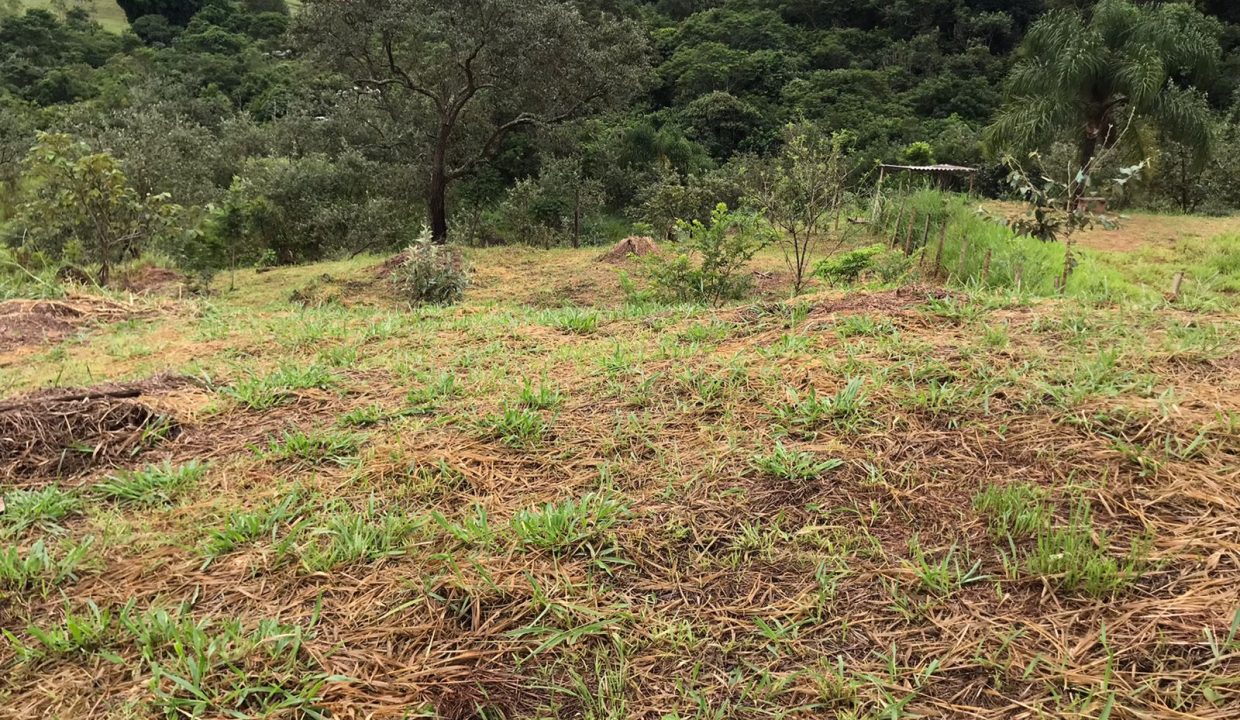 WhatsApp Image 2022-06-07 at 16.47.58