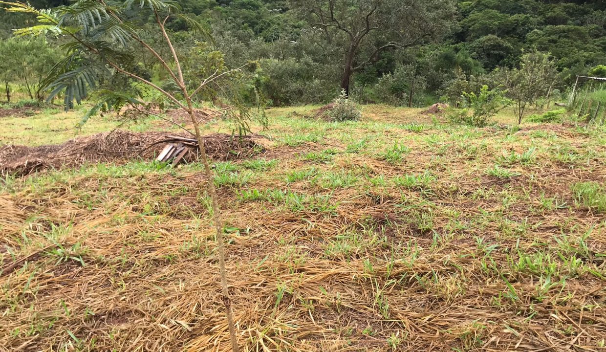 WhatsApp Image 2022-06-07 at 16.47.58 (2)