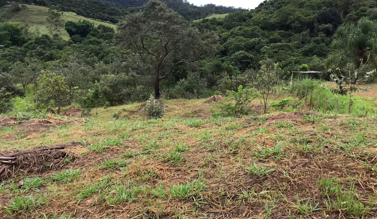 WhatsApp Image 2022-06-07 at 16.47.58 (4)