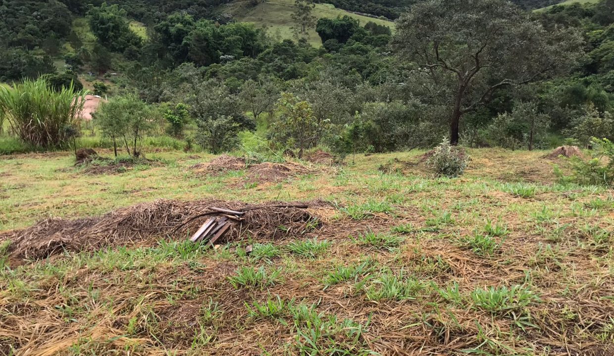 WhatsApp Image 2022-06-07 at 16.47.59 (1)