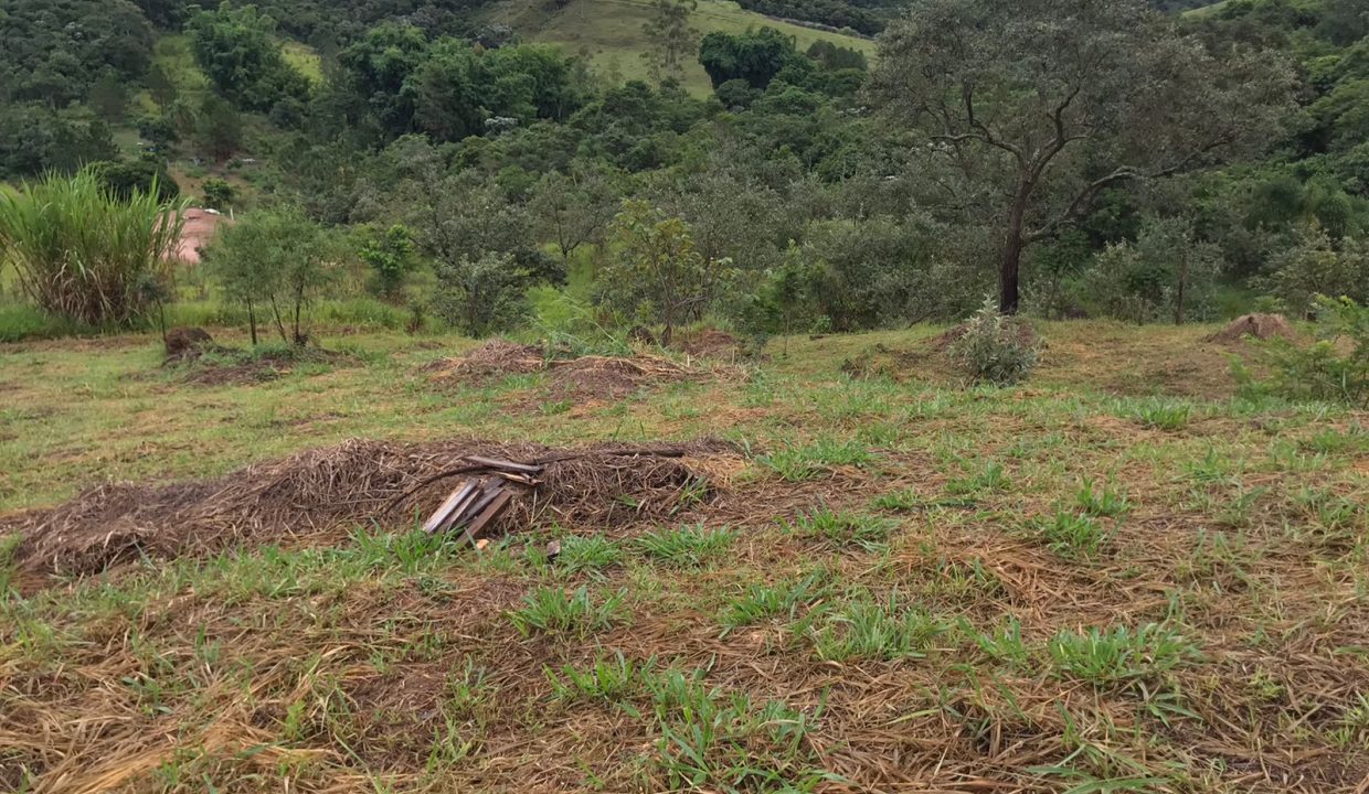 WhatsApp Image 2022-06-07 at 16.47.59 (2)