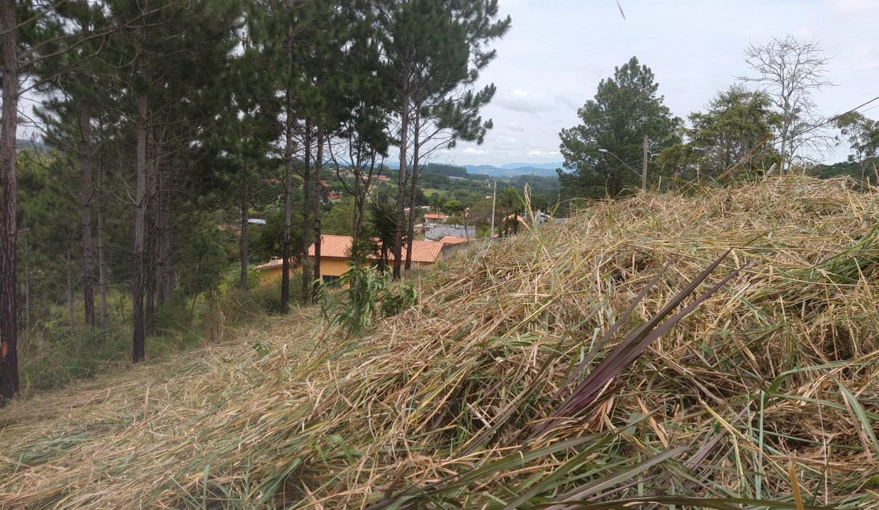 WhatsApp Image 2022-06-08 at 14.53.17 (1)