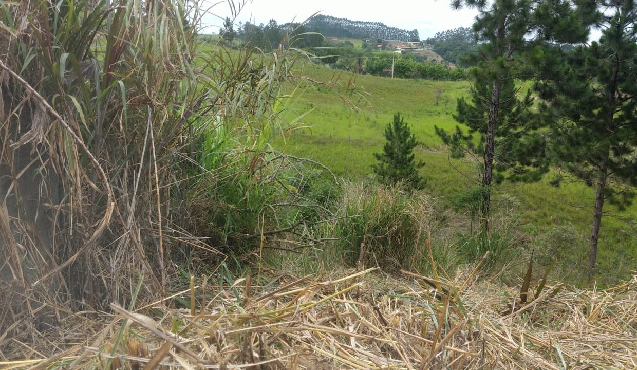 WhatsApp Image 2022-06-08 at 14.53.17