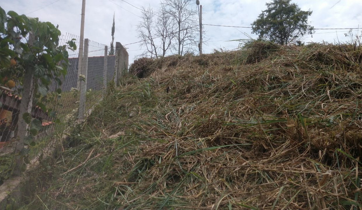 WhatsApp Image 2022-06-08 at 14.53.18 (1)