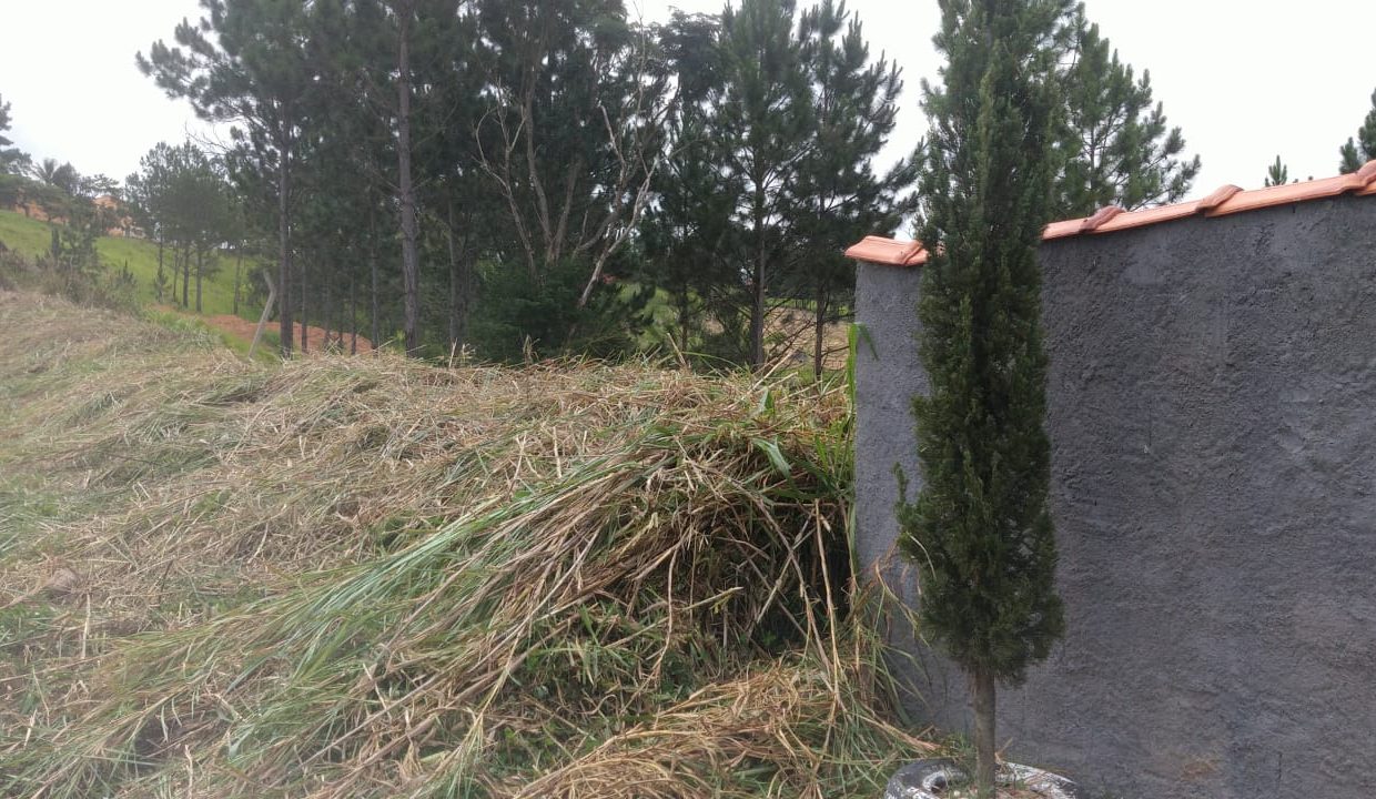 WhatsApp Image 2022-06-08 at 14.53.18