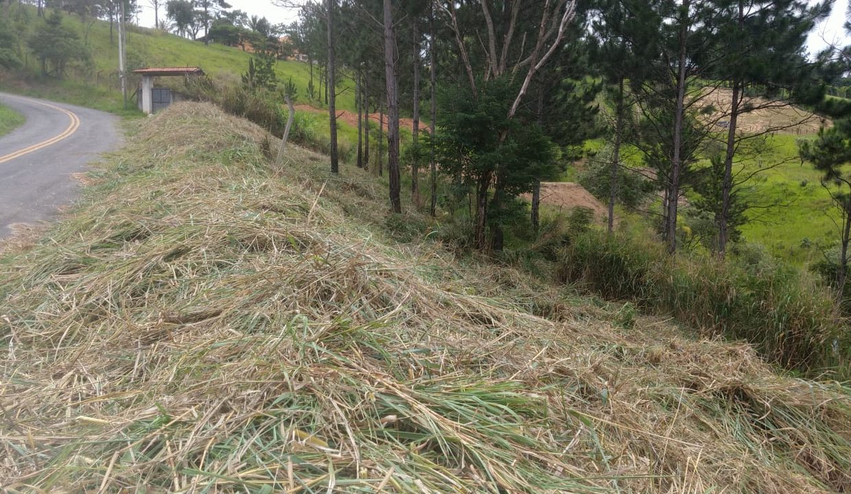 WhatsApp Image 2022-06-08 at 14.53.18 (2)