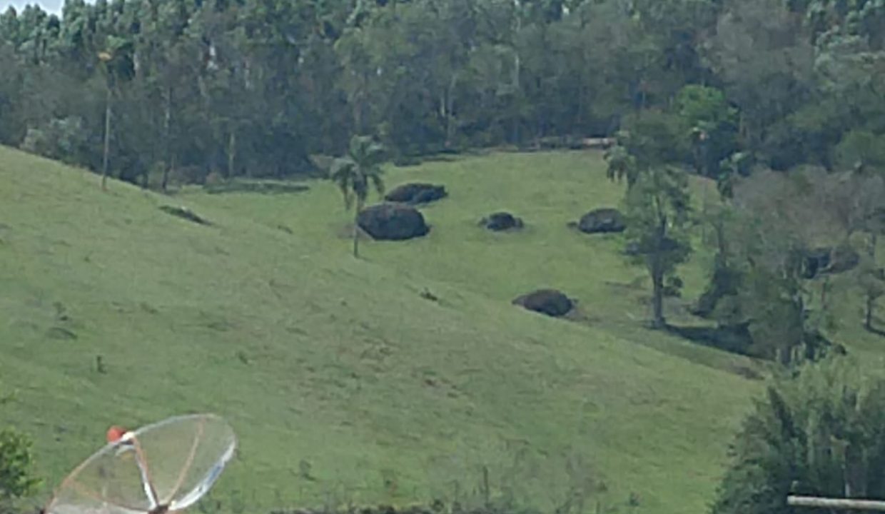 WhatsApp Image 2022-06-09 at 19.51.24