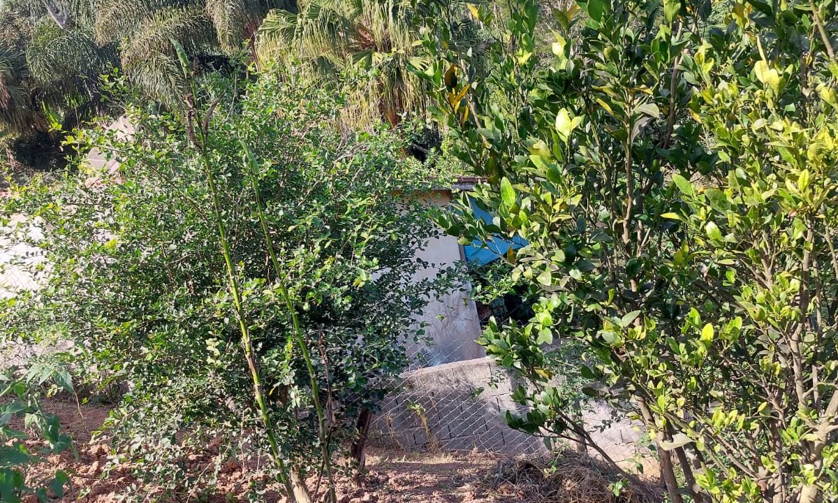 WhatsApp Image 2022-07-08 at 12.09.26