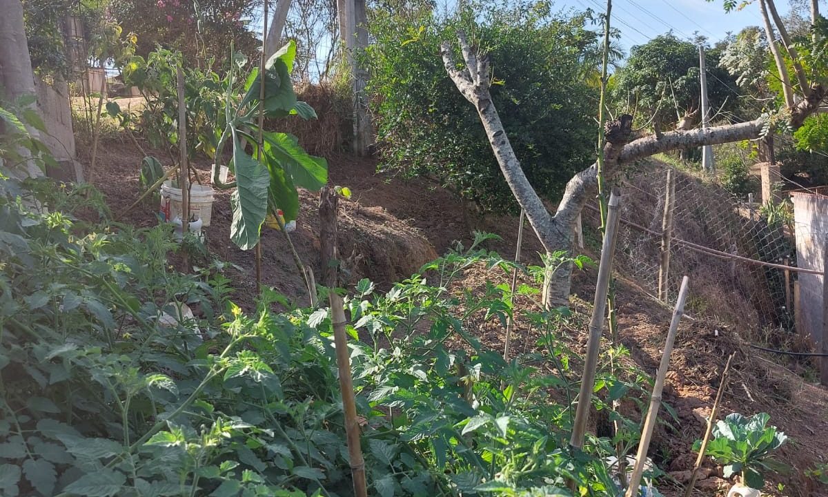 WhatsApp Image 2022-07-08 at 12.09.26 (2)