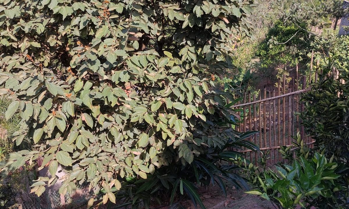 WhatsApp Image 2022-07-08 at 12.09.26 (3)