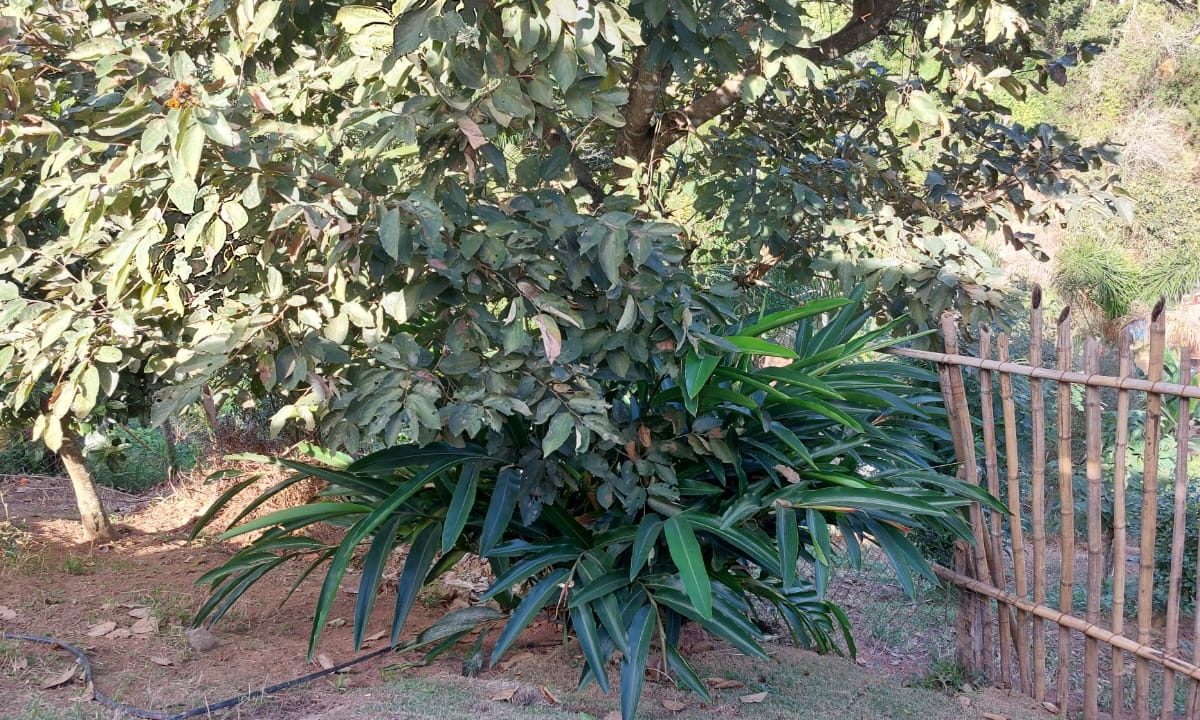 WhatsApp Image 2022-07-08 at 12.09.27