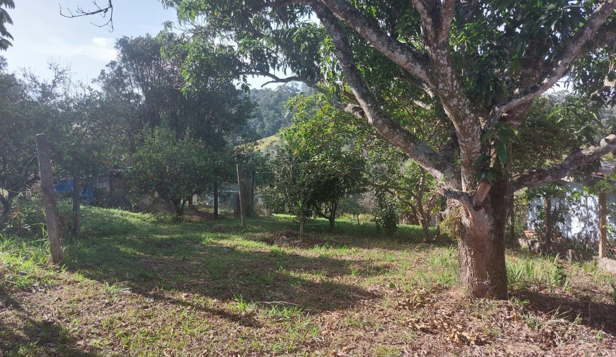 WhatsApp Image 2022-07-08 at 12.10.44 (2)