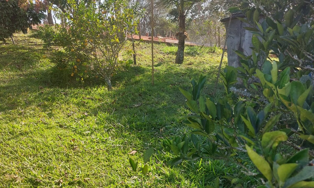 WhatsApp Image 2022-07-08 at 12.10.44 (4)