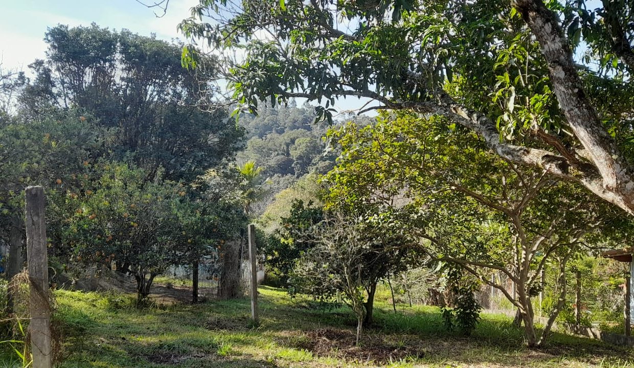 WhatsApp Image 2022-07-08 at 12.11.14