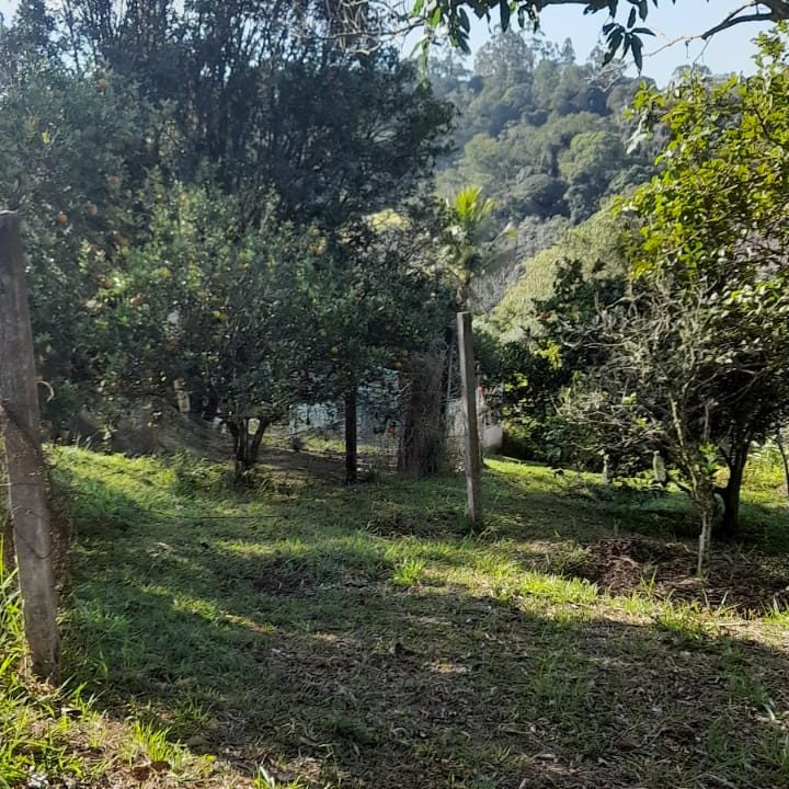 WhatsApp Image 2022-07-08 at 12.11.20