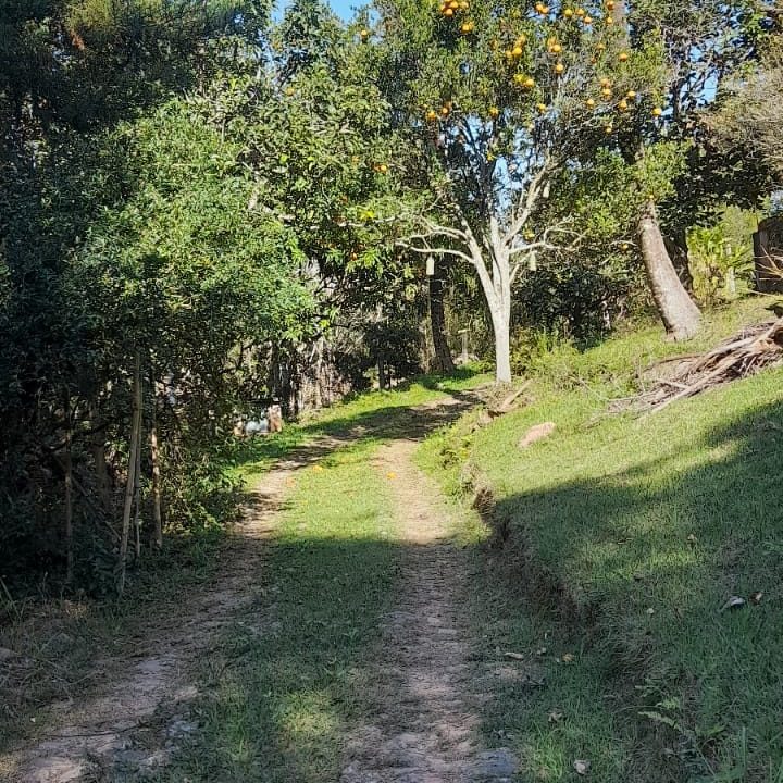 WhatsApp Image 2022-07-08 at 12.11.34