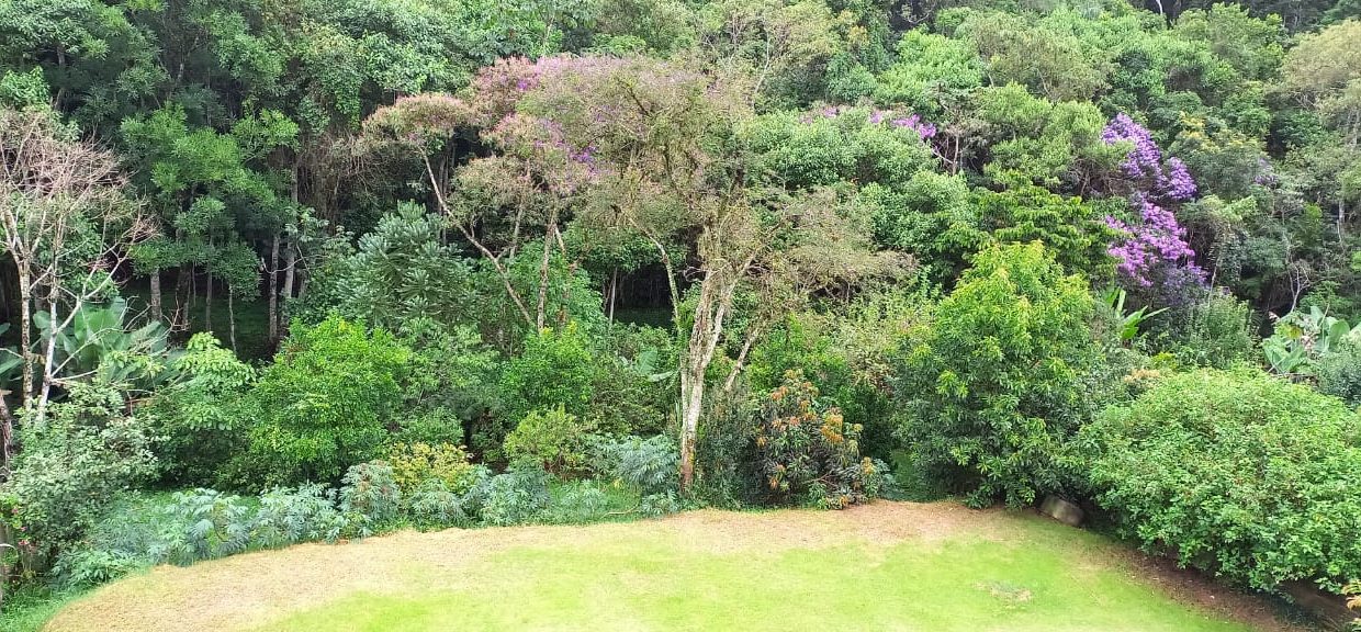 WhatsApp Image 2022-07-13 at 09.40.37 (1)