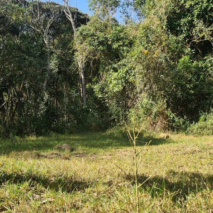 WhatsApp Image 2022-07-14 at 15.12.38 (3)