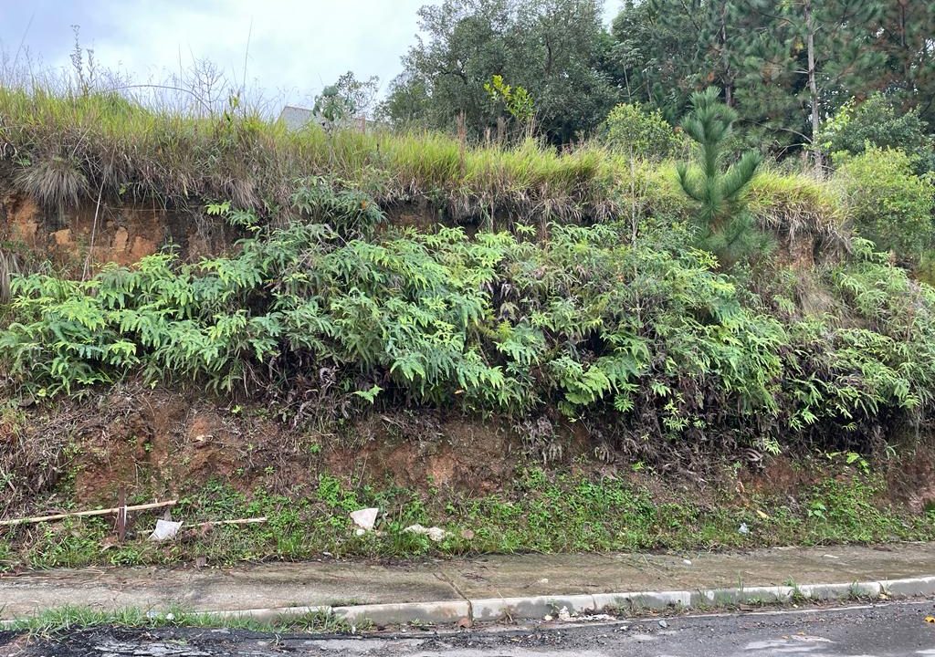 WhatsApp Image 2022-07-29 at 13.22.19 (1)