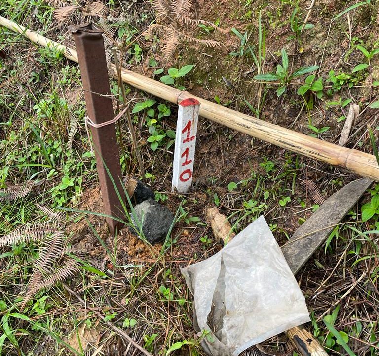 WhatsApp Image 2022-07-29 at 13.22.19