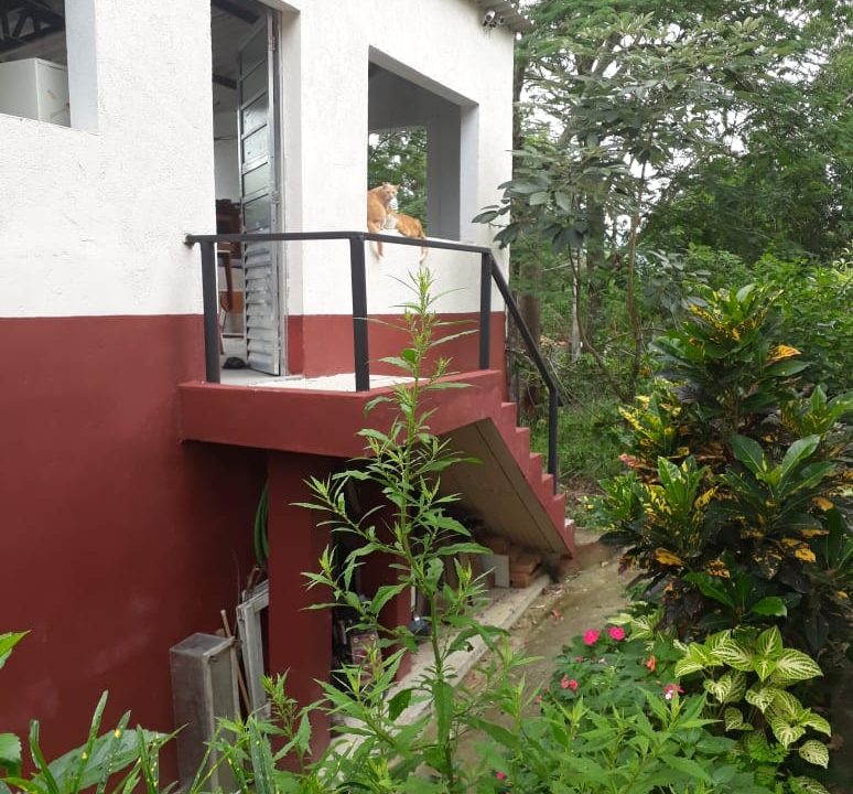 WhatsApp Image 2022-08-11 at 14.07.11