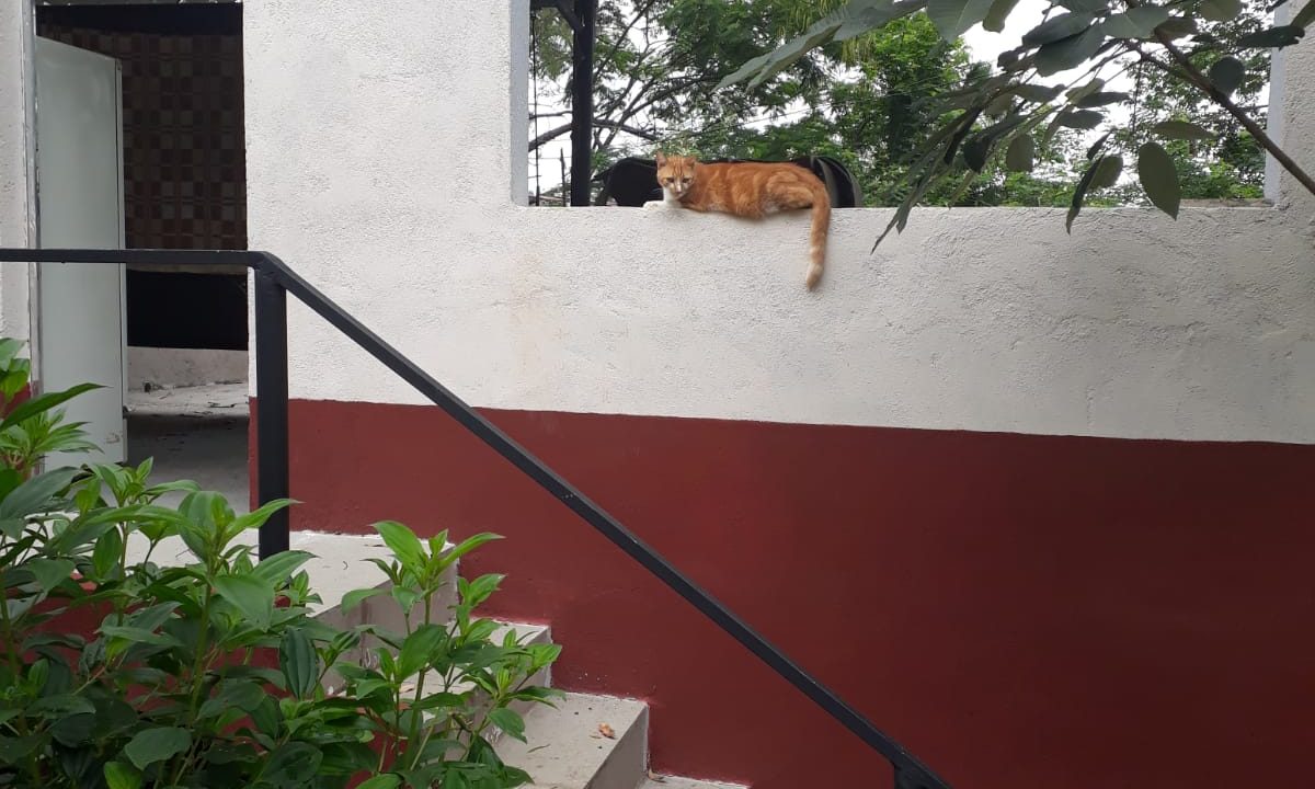 WhatsApp Image 2022-08-11 at 14.07.12 (1)