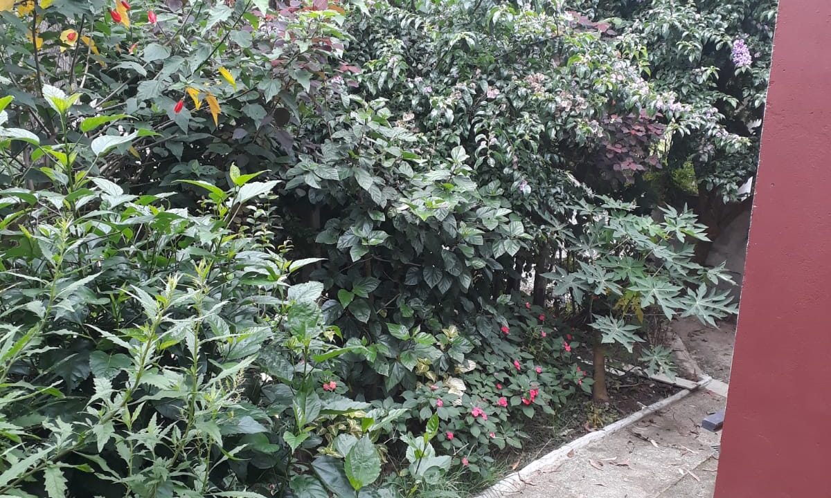 WhatsApp Image 2022-08-11 at 14.07.26