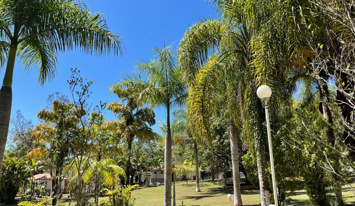 WhatsApp Image 2022-09-27 at 16.26.33 (3)