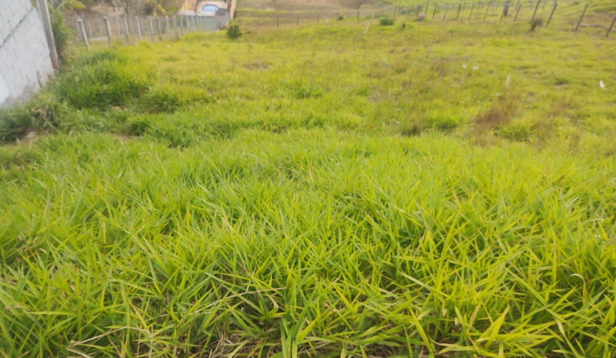 WhatsApp Image 2022-10-12 at 10.53.18 (3)