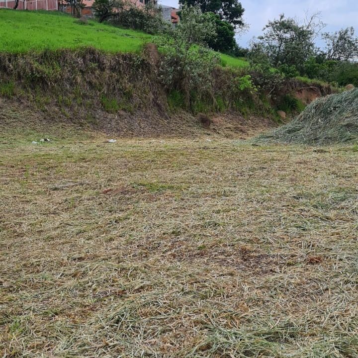 WhatsApp Image 2022-10-29 at 09.20.29