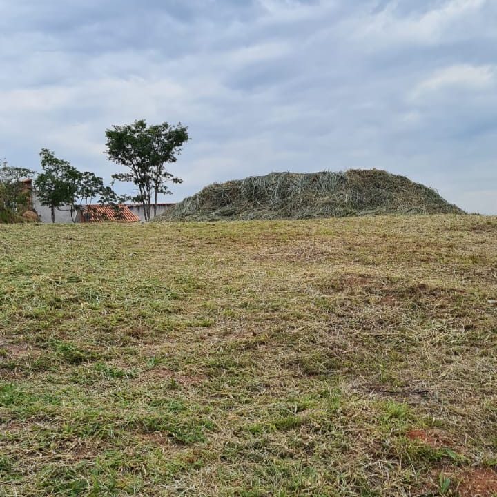 WhatsApp Image 2022-10-29 at 09.20.30