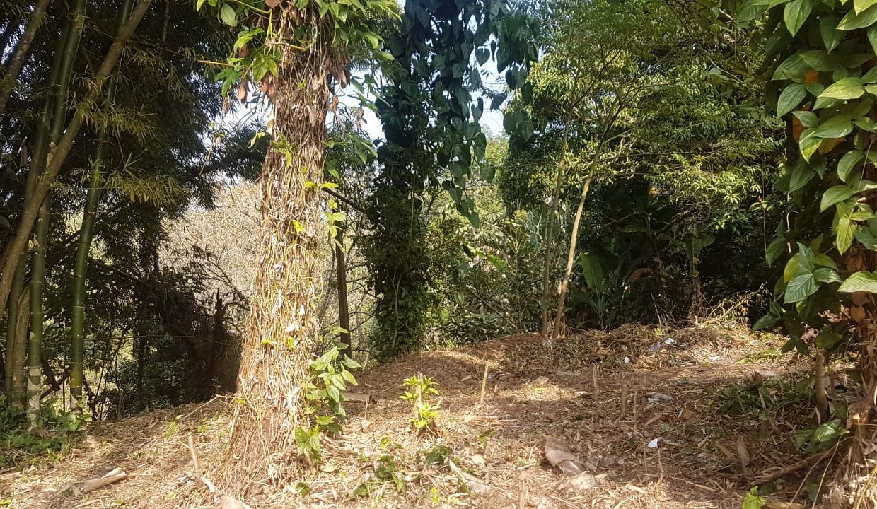 a70830f9-1a1c-44af-88db-3b1afc94c704