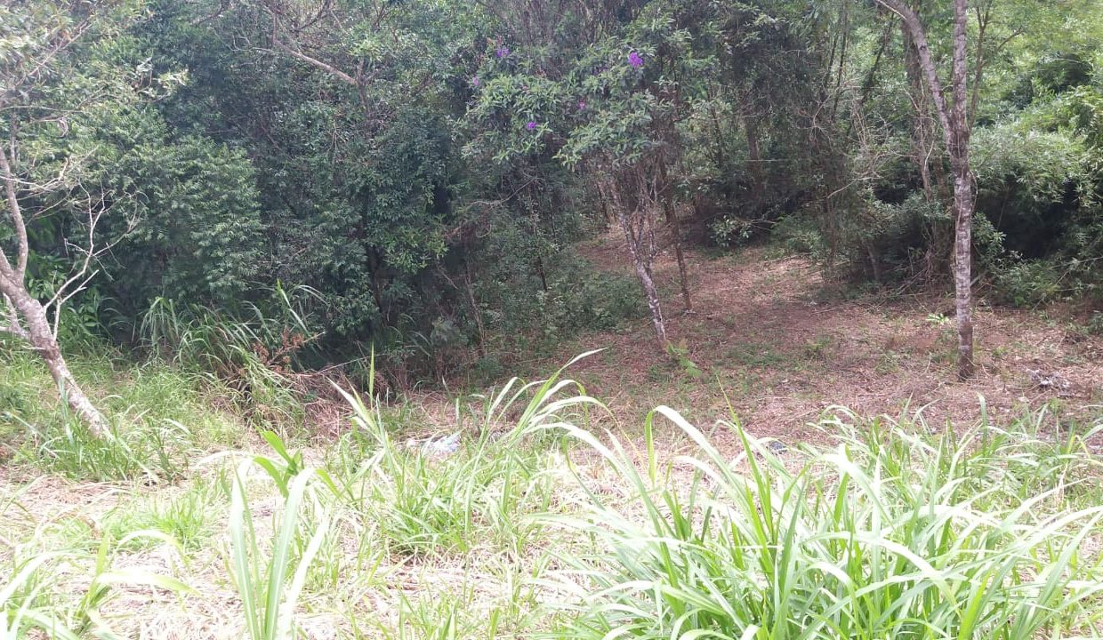 a945d5e1-23f0-4b1a-98f0-741395949395